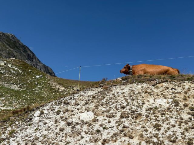 L&rsquo;estive à 2 548 m