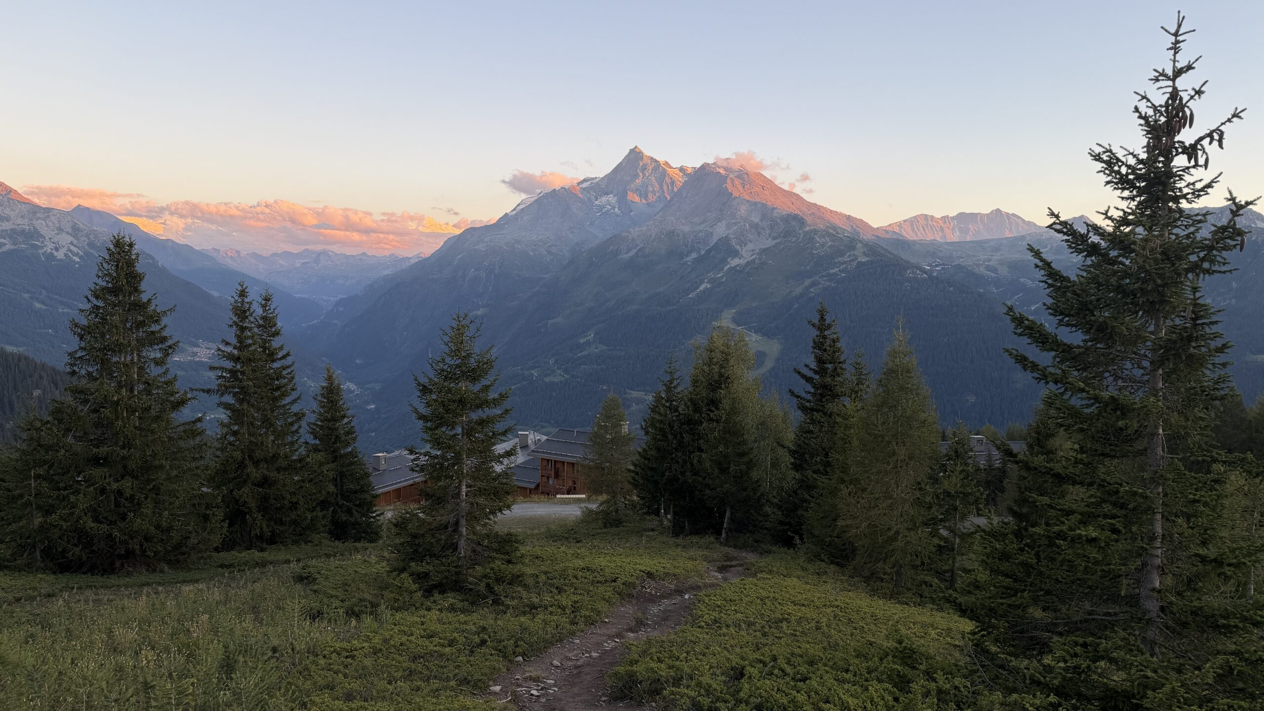 Sommet enneigé du Mont Pourri éclairé par le soleil couchant, vu depuis le sentier du golf de La Rosière entre les épicéas