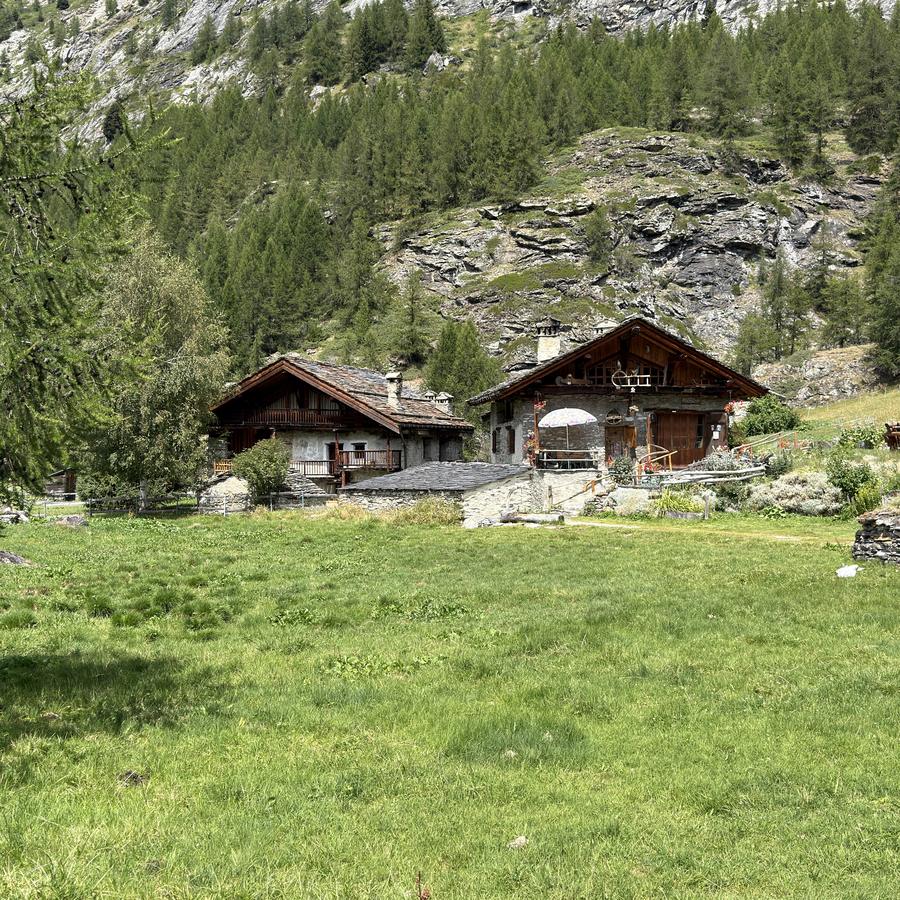 Chalet de pierre et de bois du hameau du Monal dans la prairie