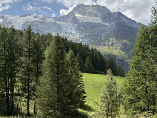 Mélèzes et sommets du vallon